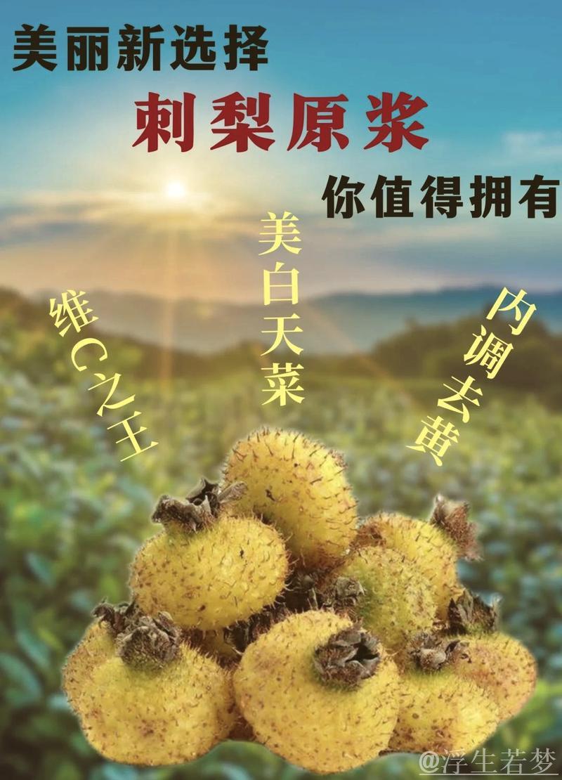 从刺梨故事看科技创新引领高质量发展